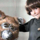 Illustration for article titled $64 Million Buys You Space Pets